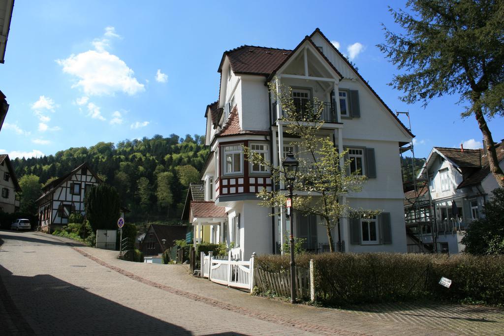 Gaestehaus Villa Lina 巴特黑雷纳尔布 外观 照片